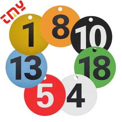 comprare Colorevole rotondo Numero personalizzato Tag di plastica Sigillo Tag di plastica Sigilli di sicurezza 0-100 fabbricazione online